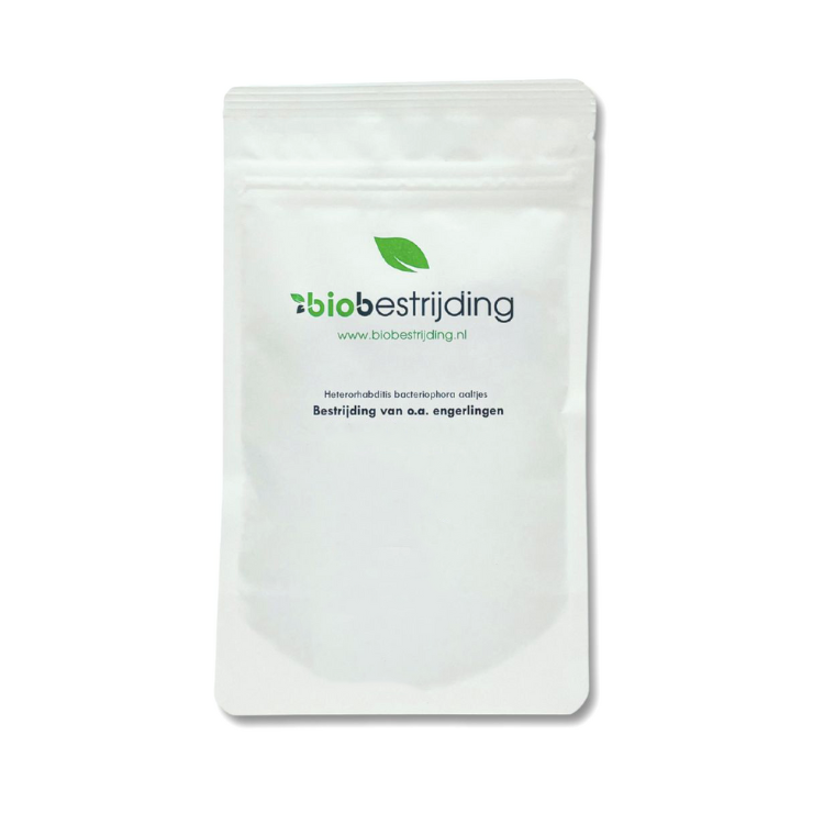 Heterorhabditis bacteriophora – Engerlingen Aaltjes - biologische plaagbestrijding 2026