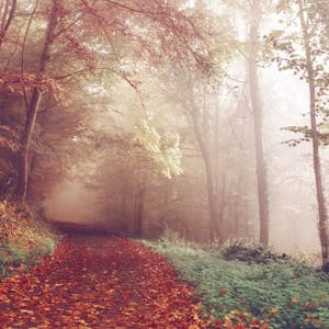 Hape Houten Speelkeuken - beste educatief speelgoed 2026